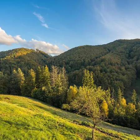 דירה Pod Gastanom *